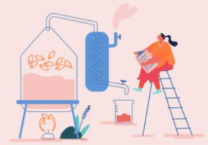 Leia mais sobre o artigo Métodos de extração de compostos bioativos naturais