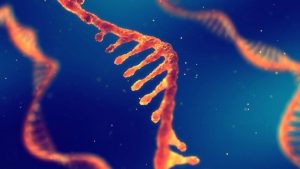 Leia mais sobre o artigo Biologia molecular – parte 3