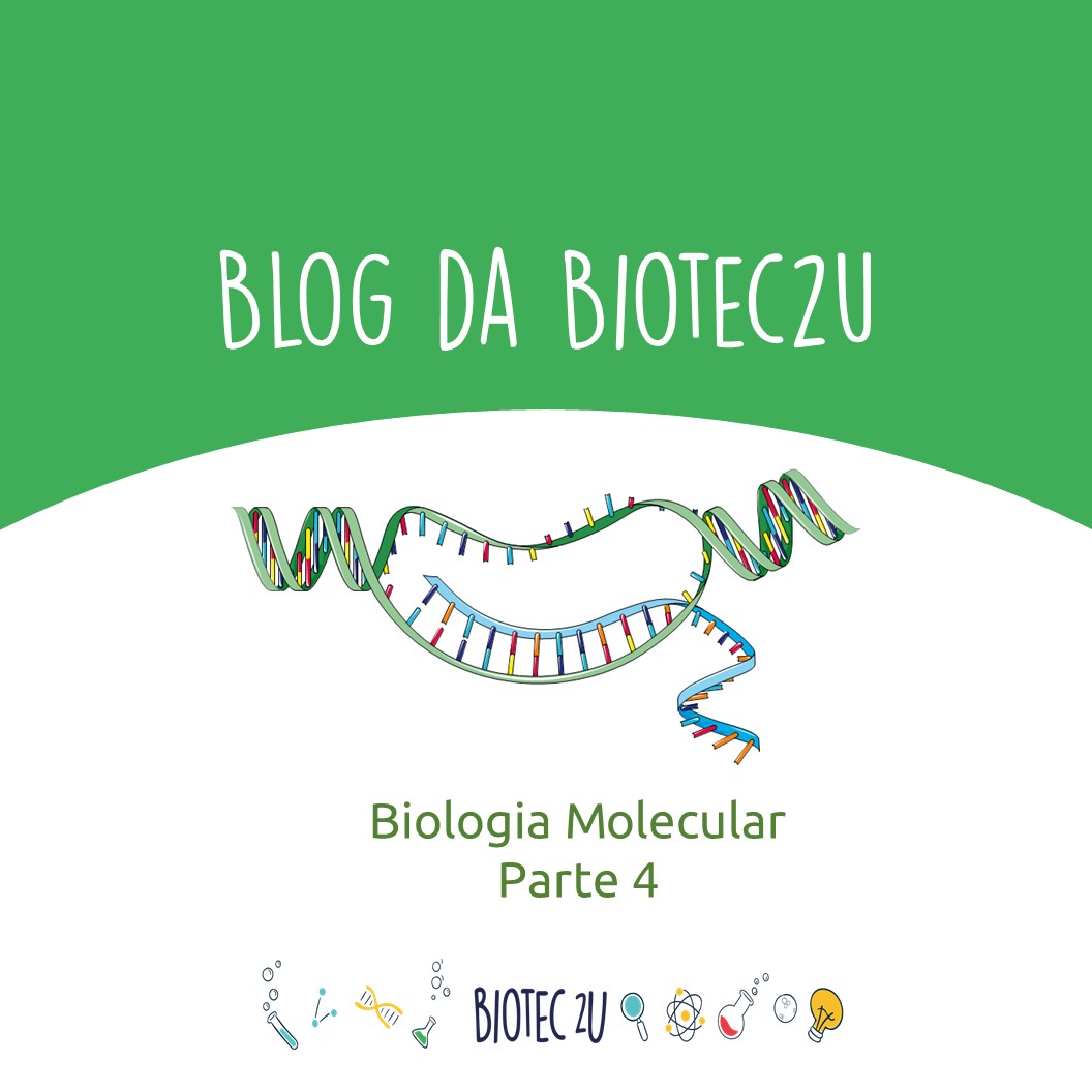 No momento, você está visualizando Biologia Molecular – parte 4