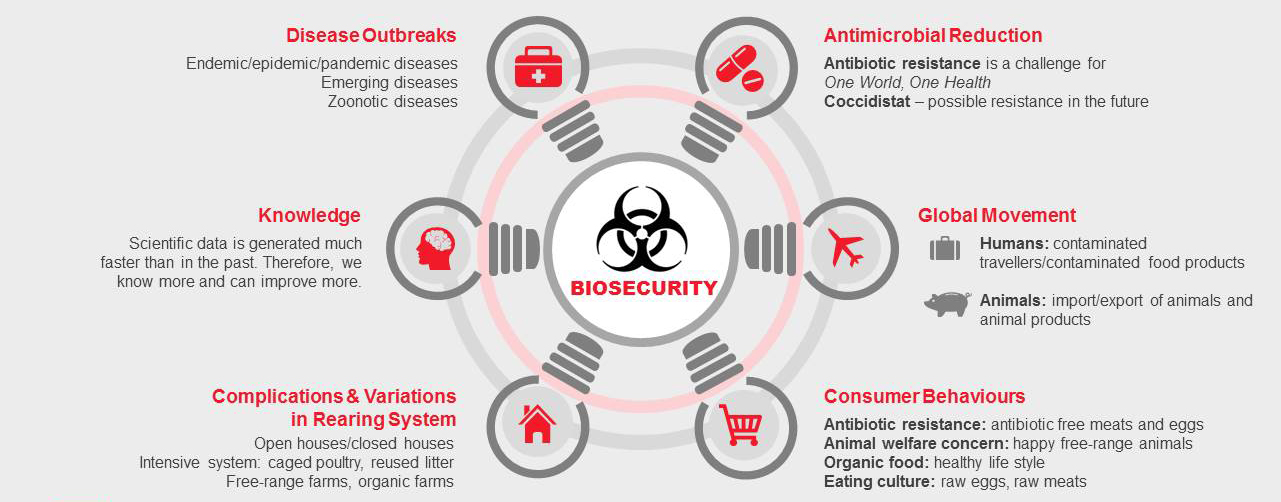 No momento, você está visualizando Biossegurança