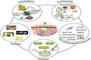 Leia mais sobre o artigo Biotecnologia na Indústria de Alimentos
